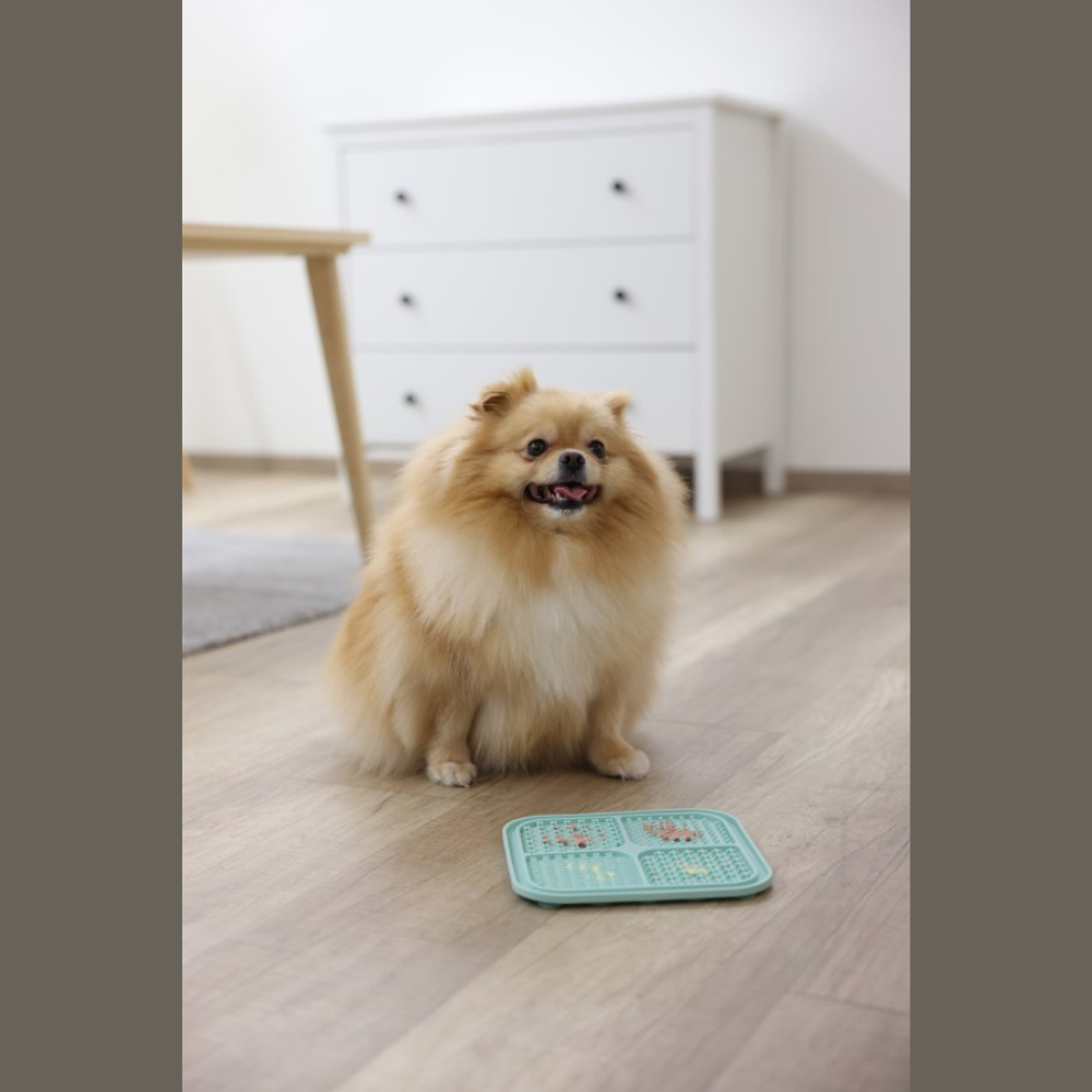 Kerbl Slow-eating Licking Mat