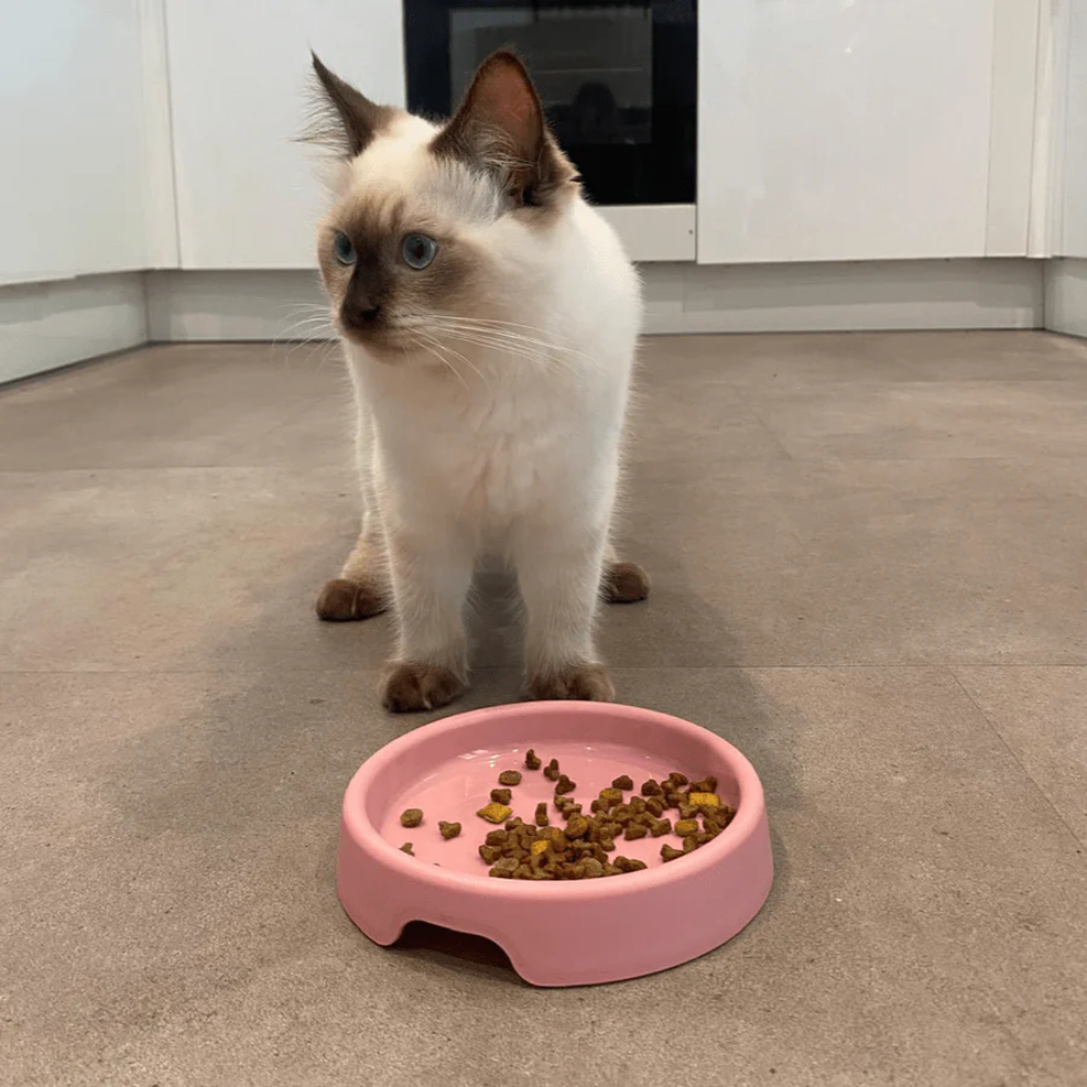 Beco Steady Cat Bowl/ Pink
