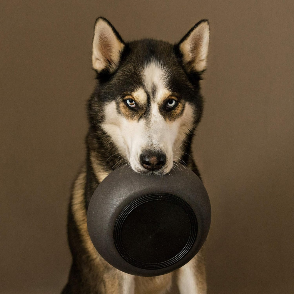 District 70 Bamboo Dog Bowl/ Dark Grey