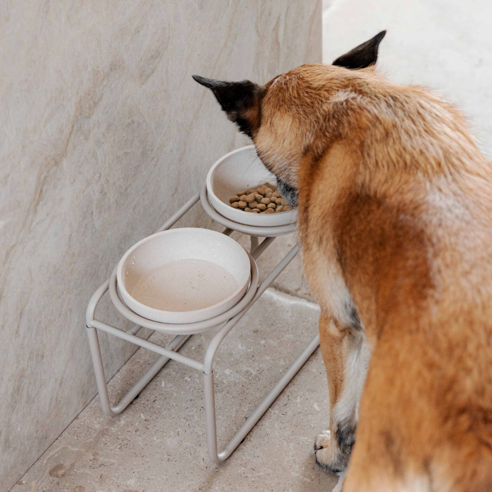 District 70 Butler Food Bowl Stand for Dogs/ Beige/ Medium