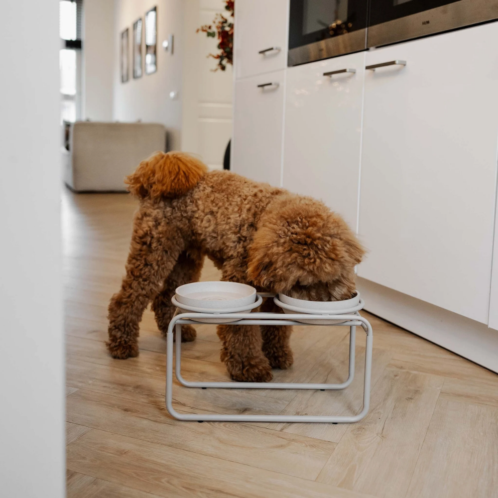 District 70 Butler Food Bowl Stand for Dogs/ Beige/ Medium