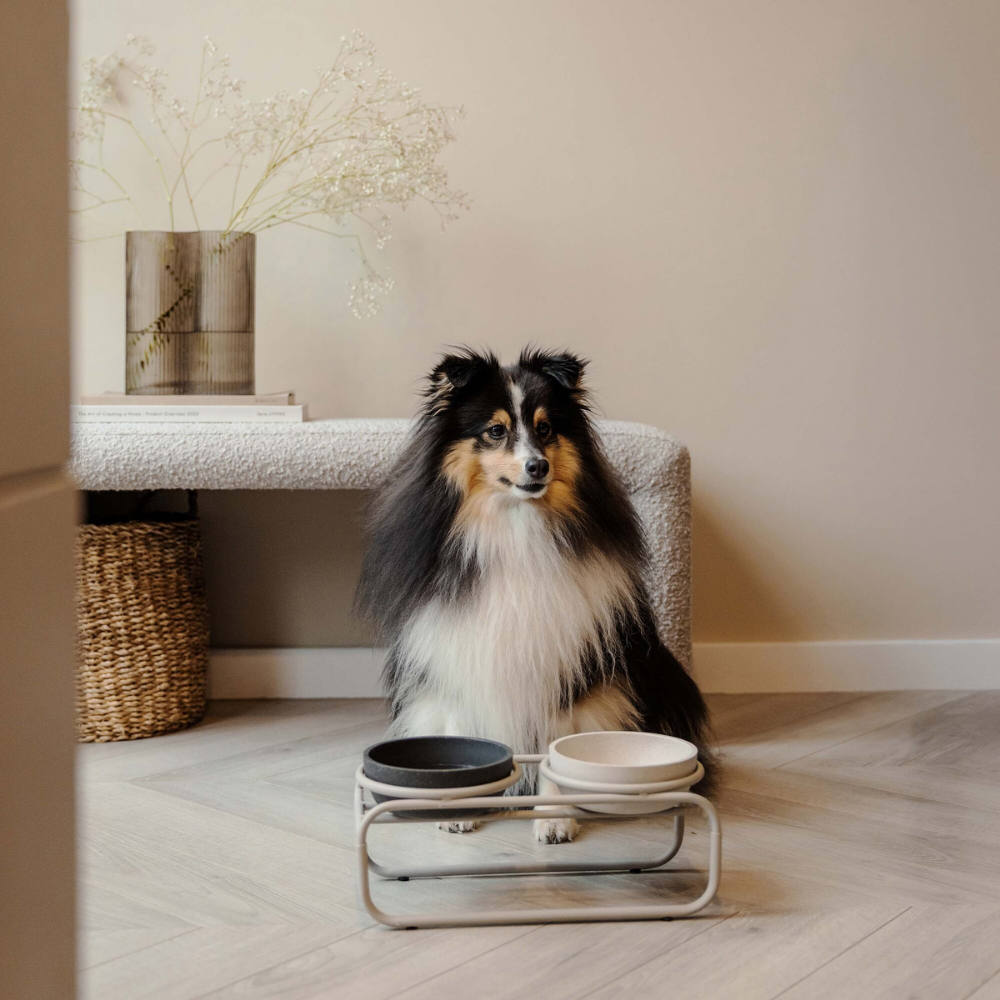 District 70 Butler Food Bowl Stand for Dogs/ Beige/ Small