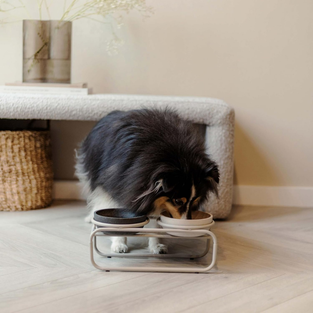 District 70 Butler Food Bowl Stand for Dogs/ Beige/ Small