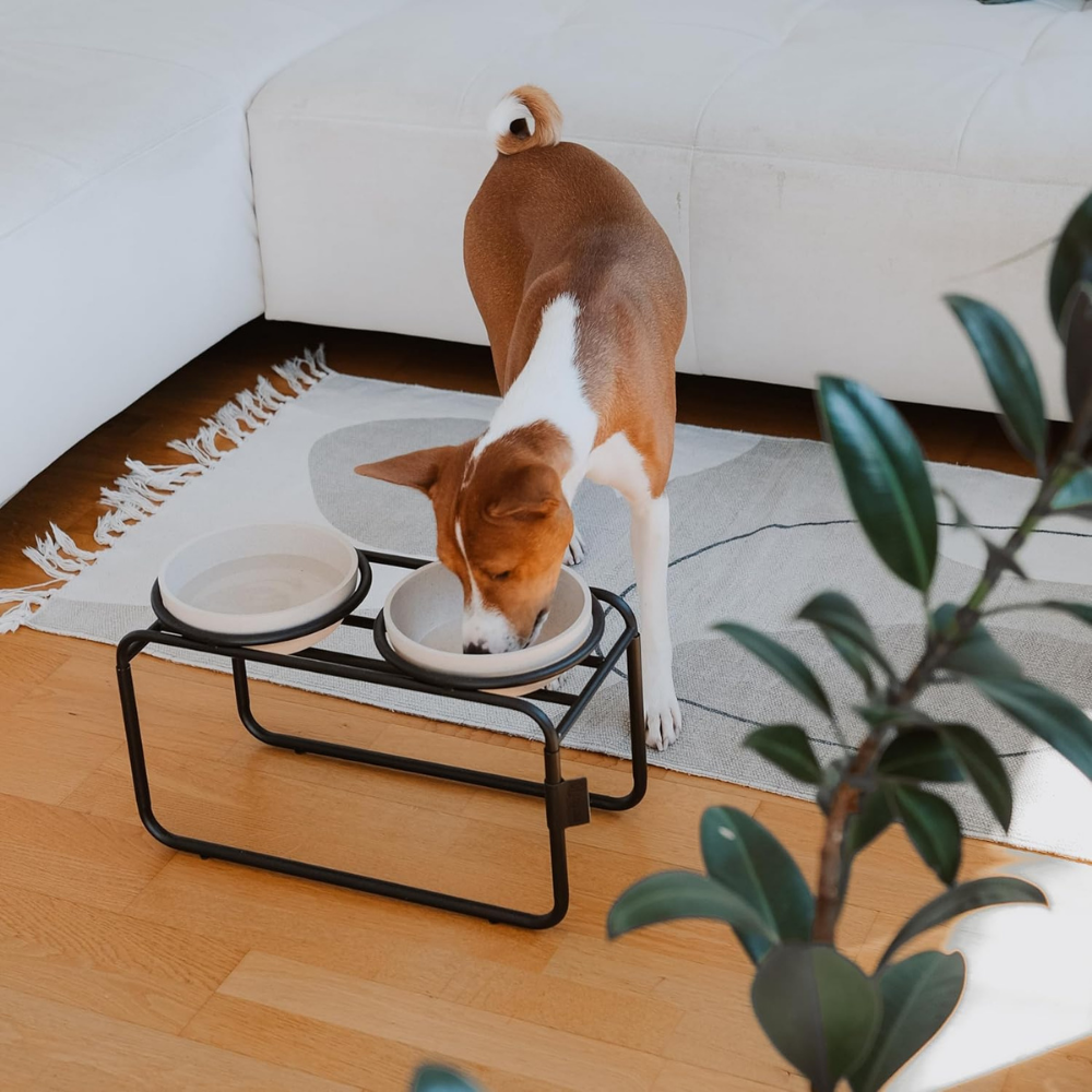 District 70 Butler Food Bowl Stand for Dogs/ Black/ Medium
