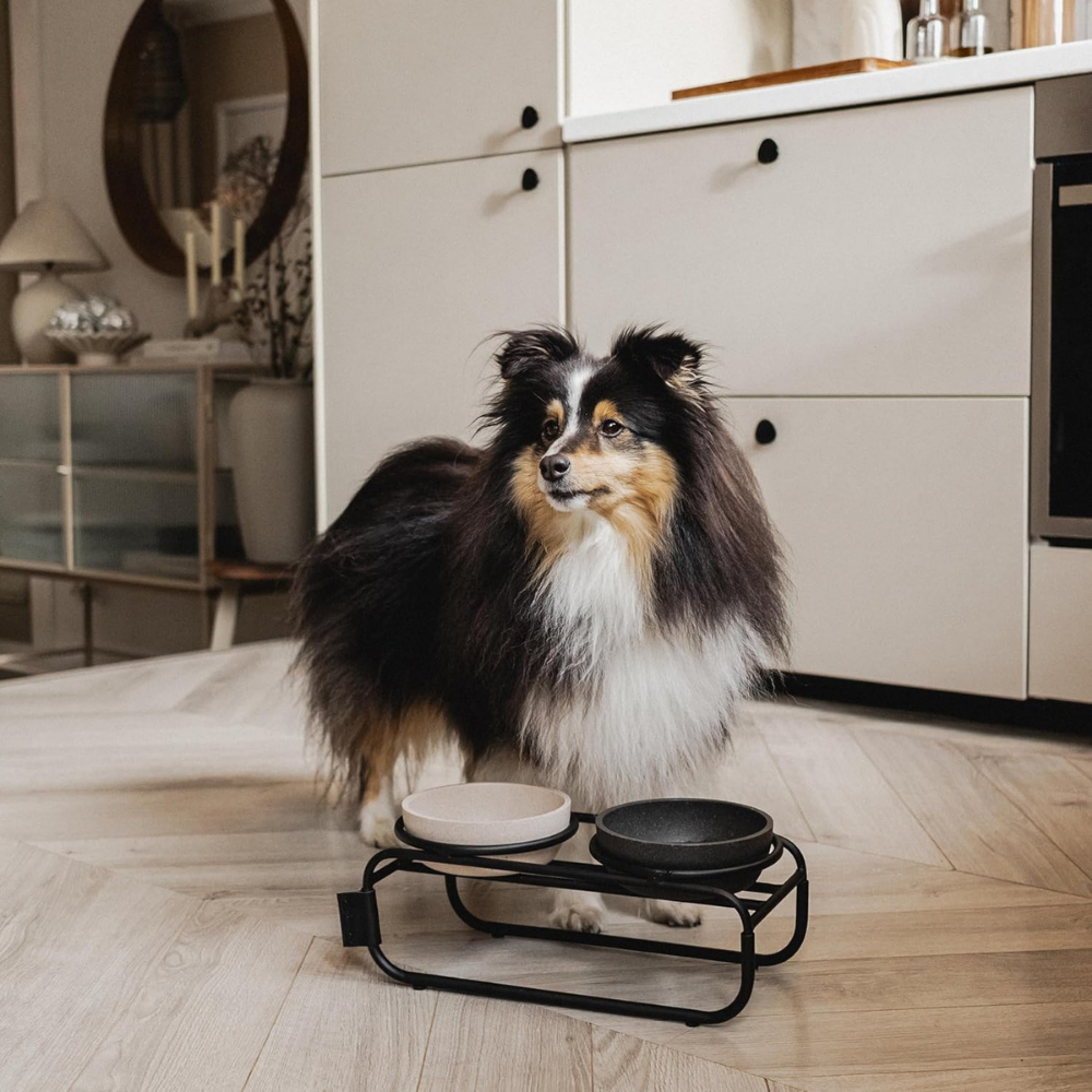 District 70 Butler Food Bowl Stand for Dogs/ Black/ Small