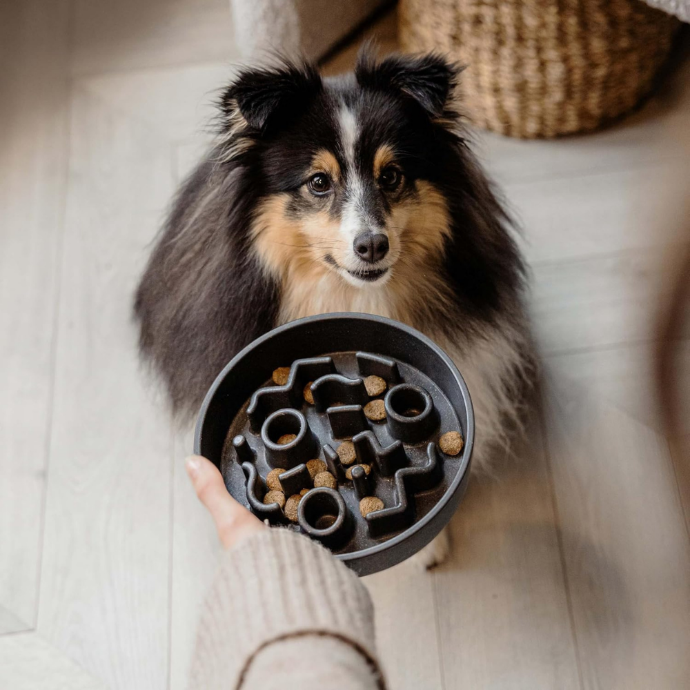 District 70 Bamboo Slow Feeder Dog Bowl/ Dark Grey