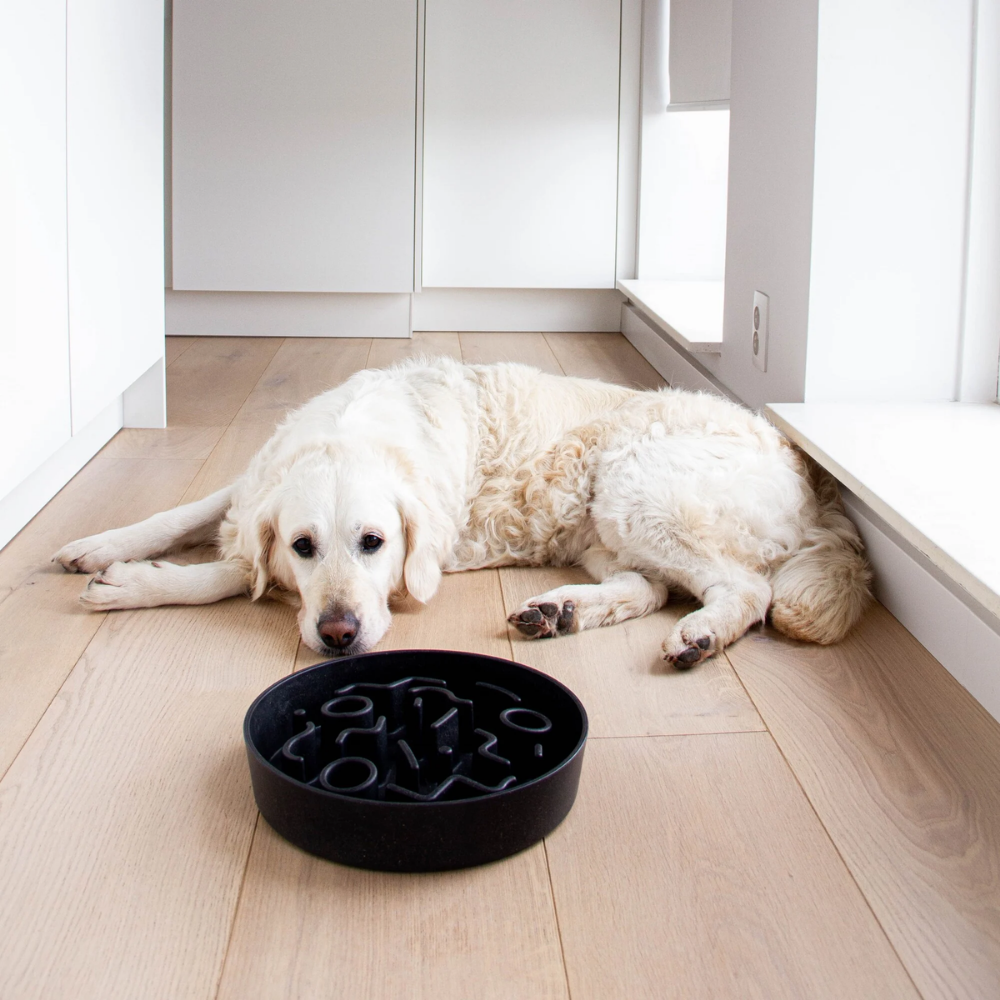 District 70 Bamboo Slow Feeder Dog Bowl/ Dark Grey