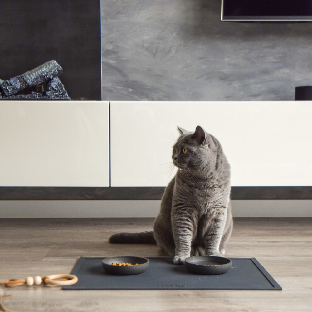 District 70 Serve Placemat/ Dark Grey