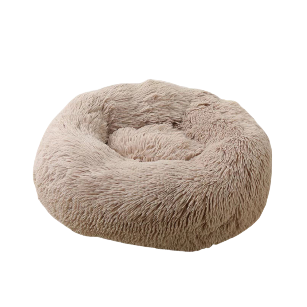 Glee Bed Geneva/ Mocha