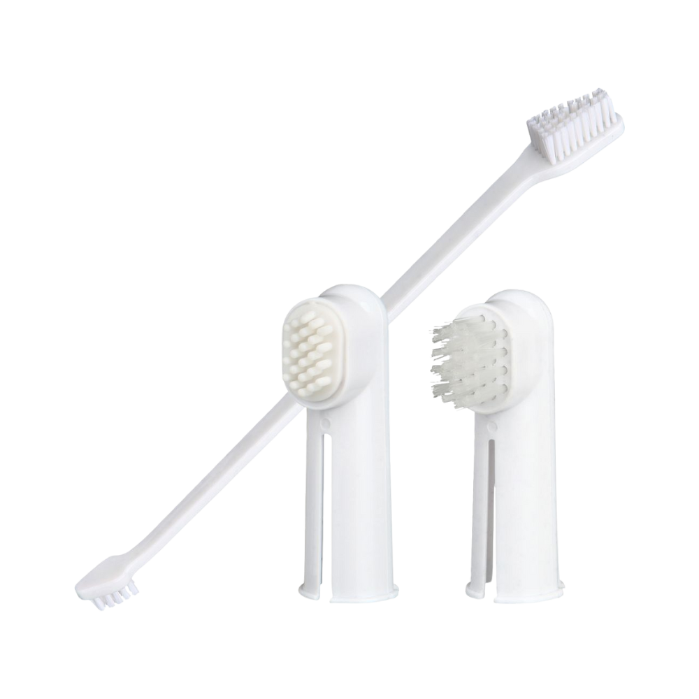 Trixie Dental Hygiene Set