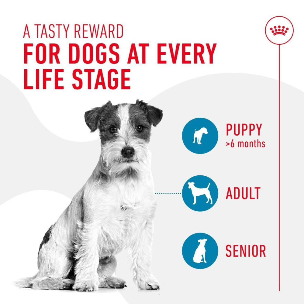 Royal Canin Dog Treats for Training