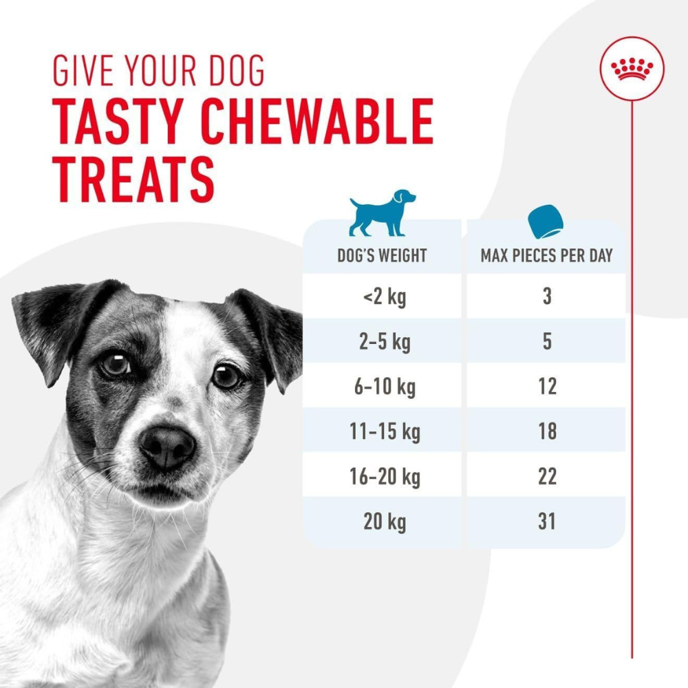 Royal Canin Dog Treats for Training