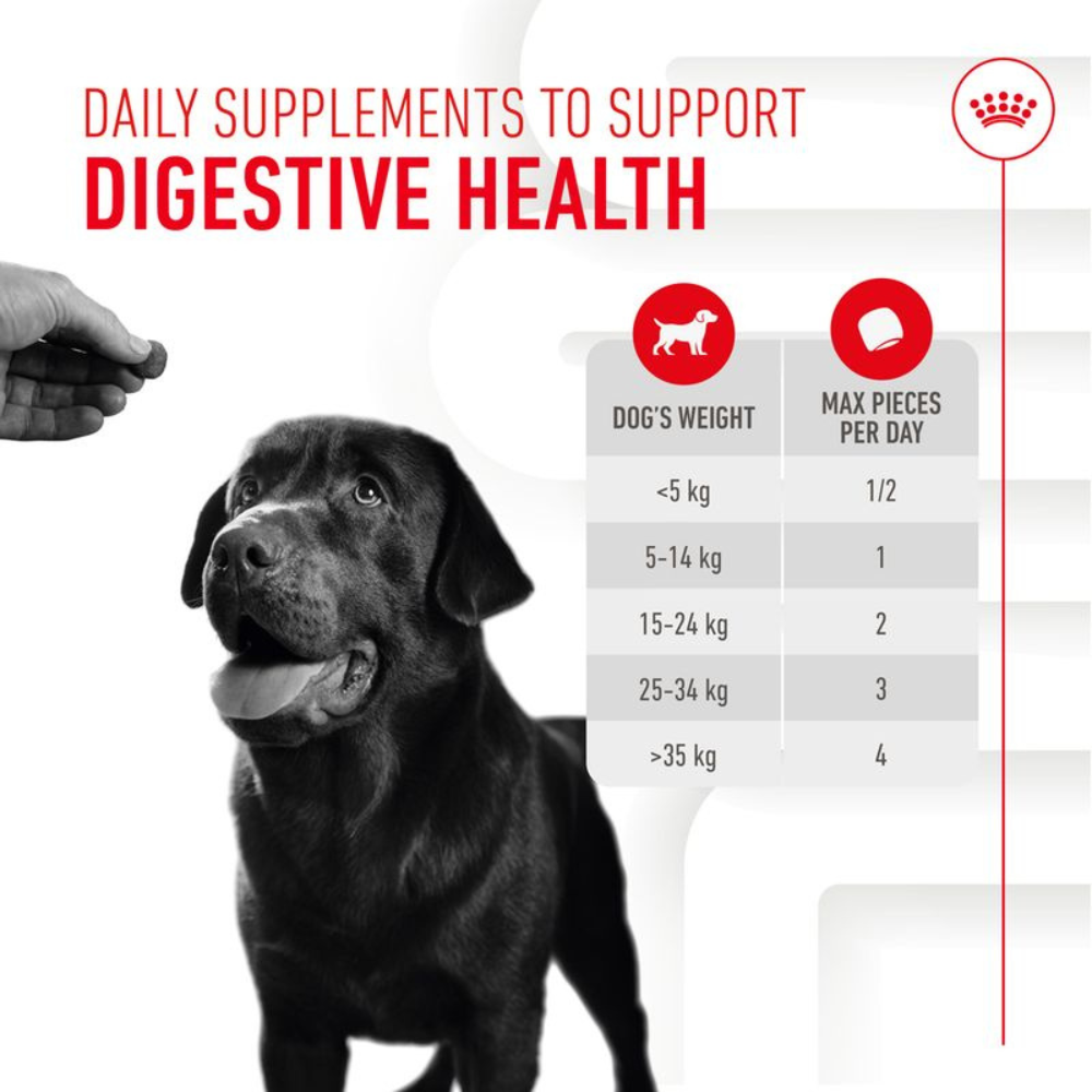 Royal Canin Adult Digestion Supplement