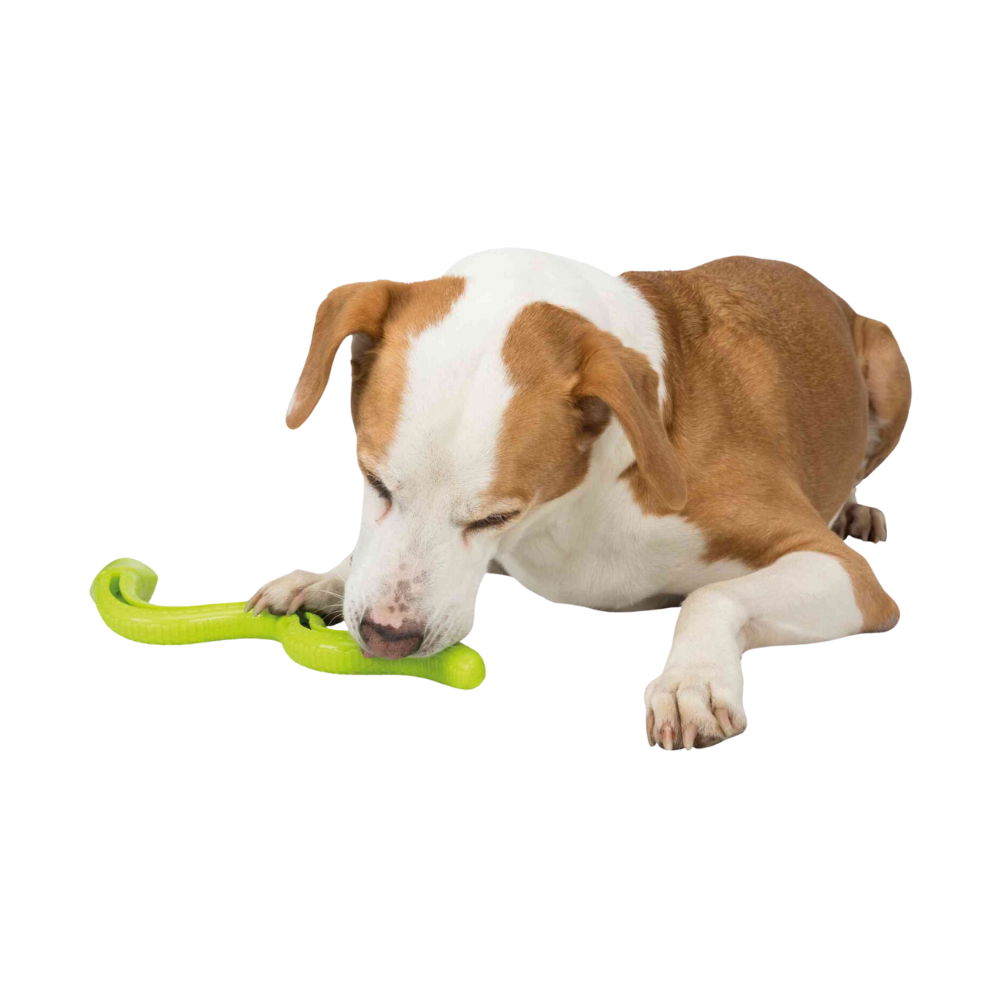 Trixie Snack-Snake 27cm