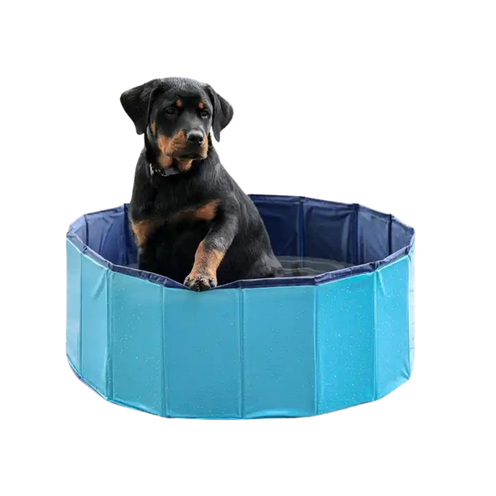Diamentiq Folding dog pool 120x30cm