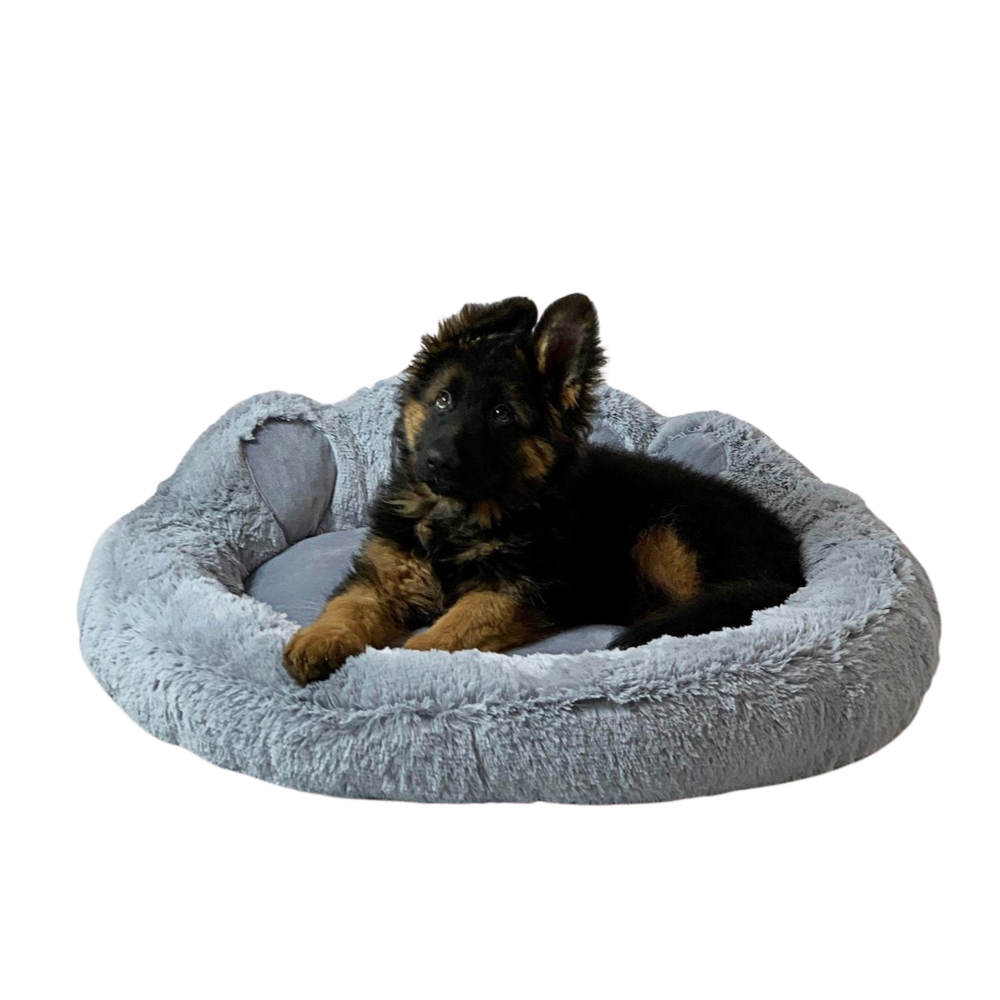 Go Gift Bed/ XL/ Grey