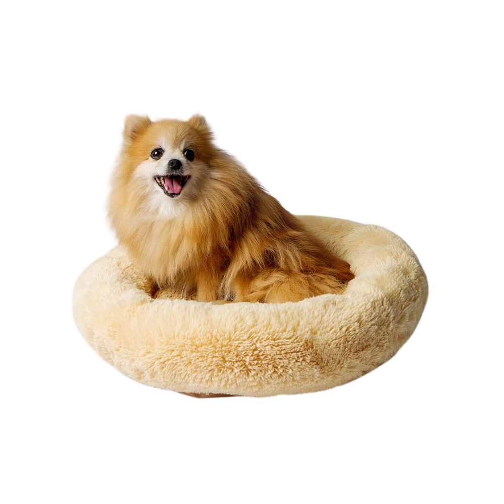 Go Gift Shaggy Bed/ XL/ Cream