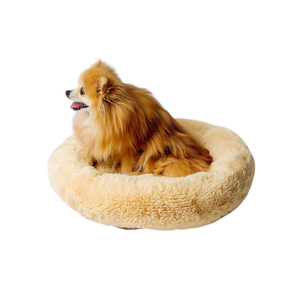 Go Gift Shaggy Bed/ XL/ Cream