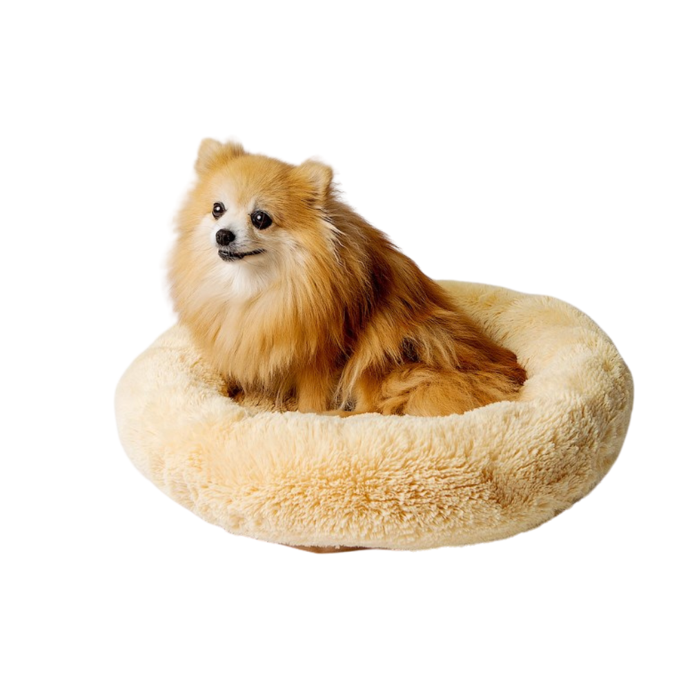 Go Gift Shaggy Bed/ XL/ Cream