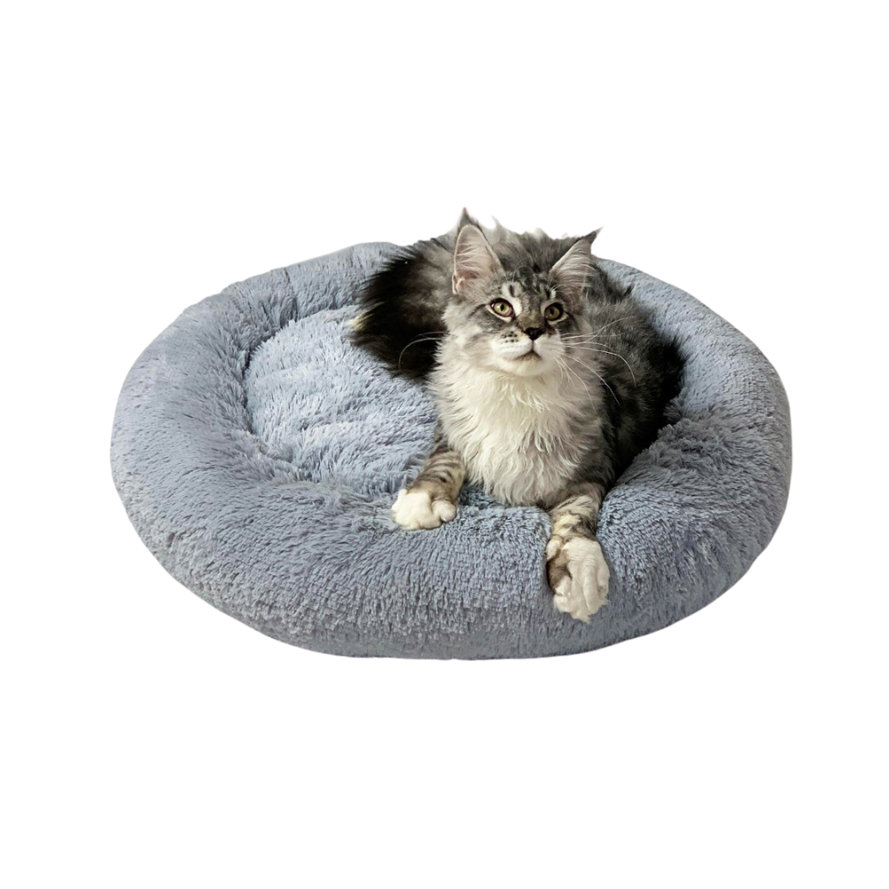 Go Gift Shaggy Bed/ XL/ Grey