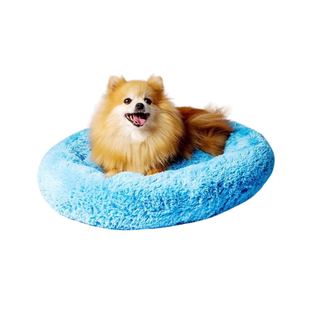 Go Gift Shaggy Bed/ XL/ Blue