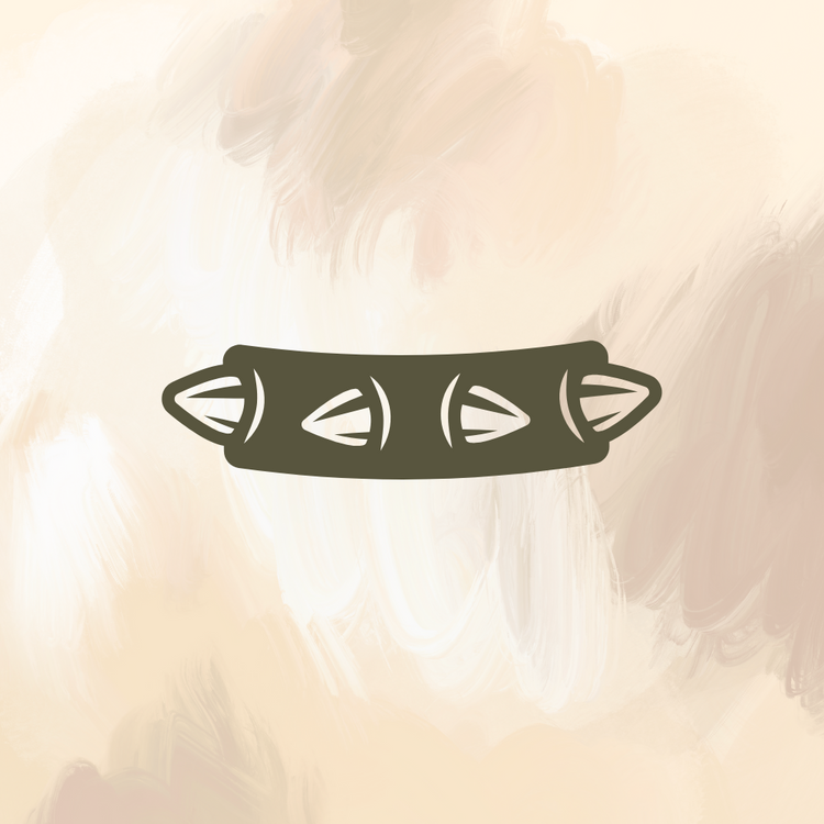 Pet Collars