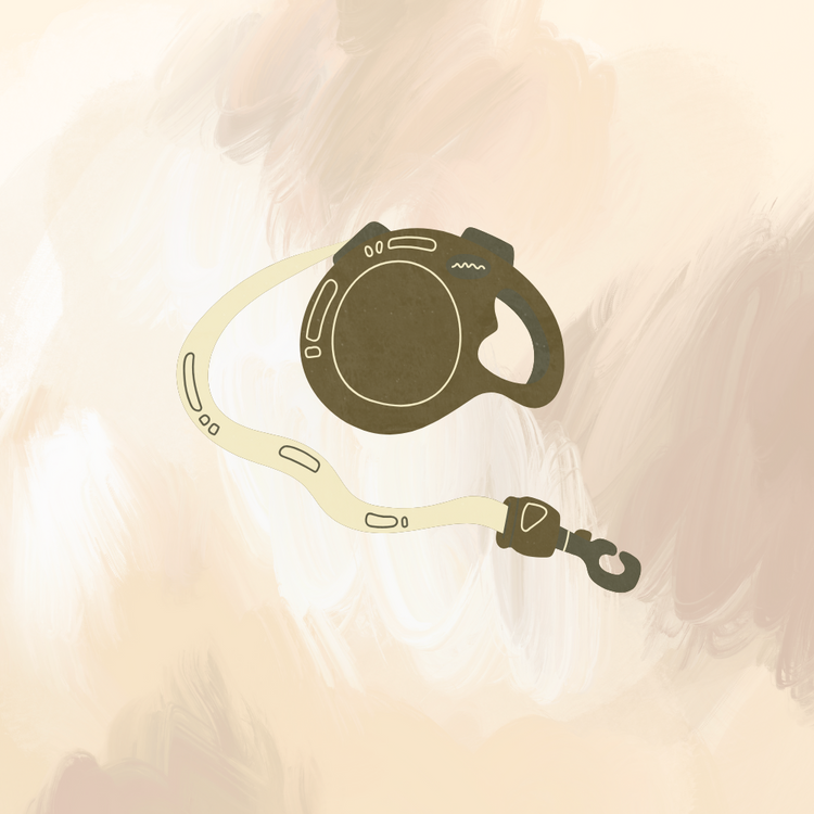 Dog Leashes and Accessories