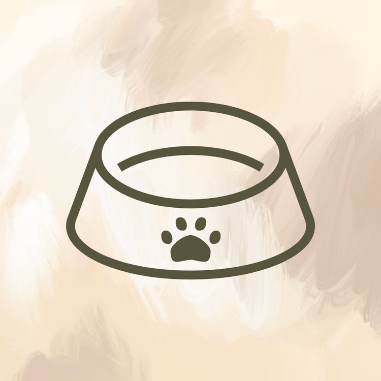 Bowls, Feeders and Waterers