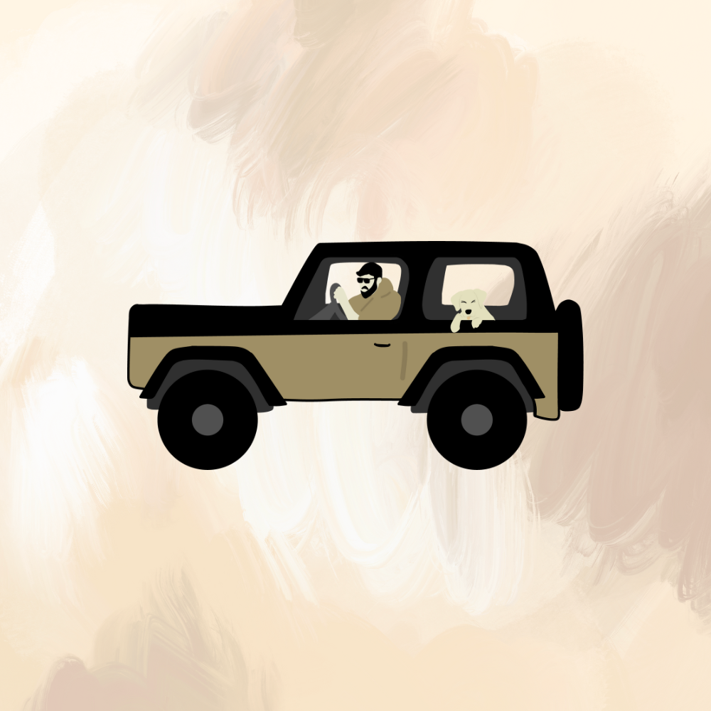Travel with Pets