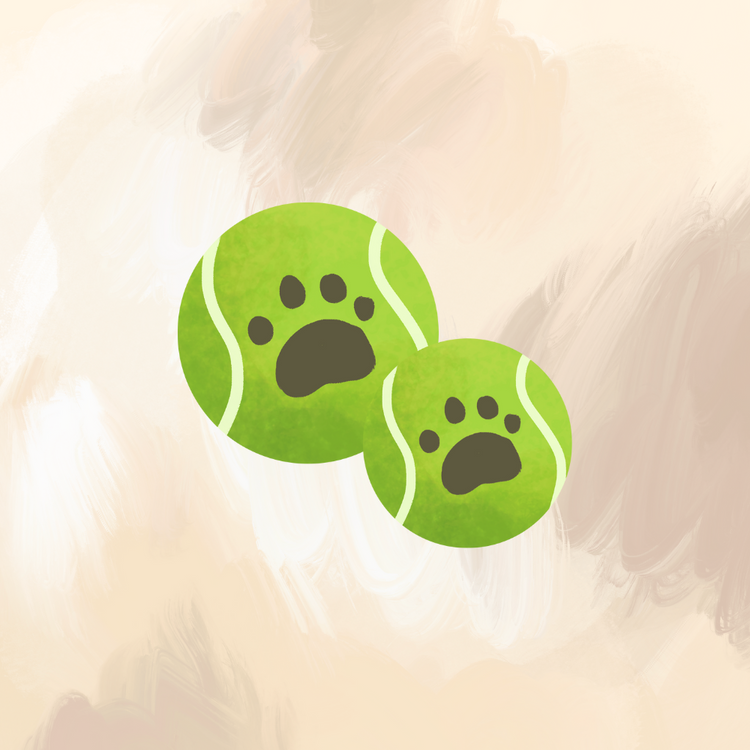 Pet Toys