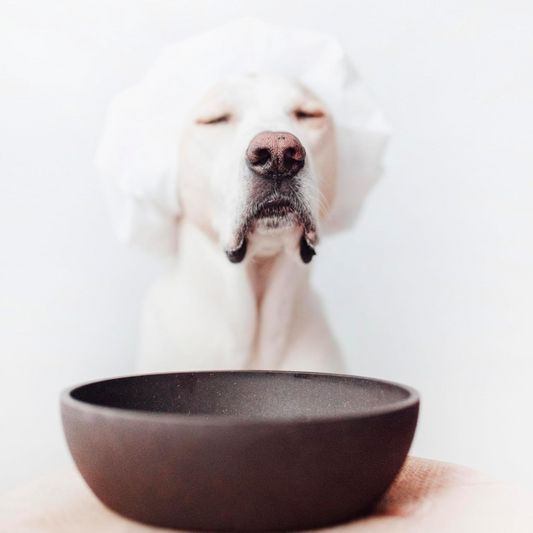District 70 Bamboo Dog Bowl/ Dark Grey/ Medium