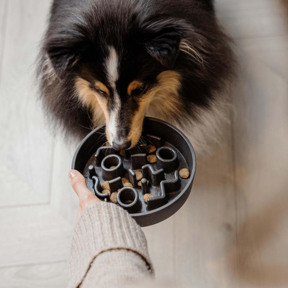 District 70 Bamboo Slow Feeder Dog Bowl/ Dark Grey