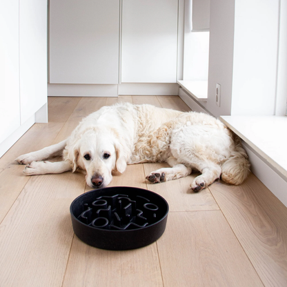 District 70 Bamboo Slow Feeder Dog Bowl/ Dark Grey