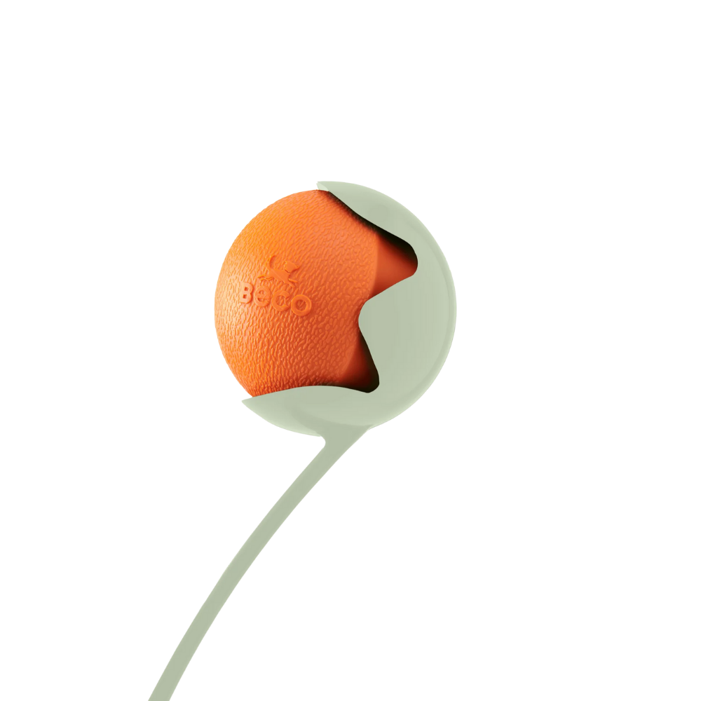 Beco Fetch Ball/ Orange