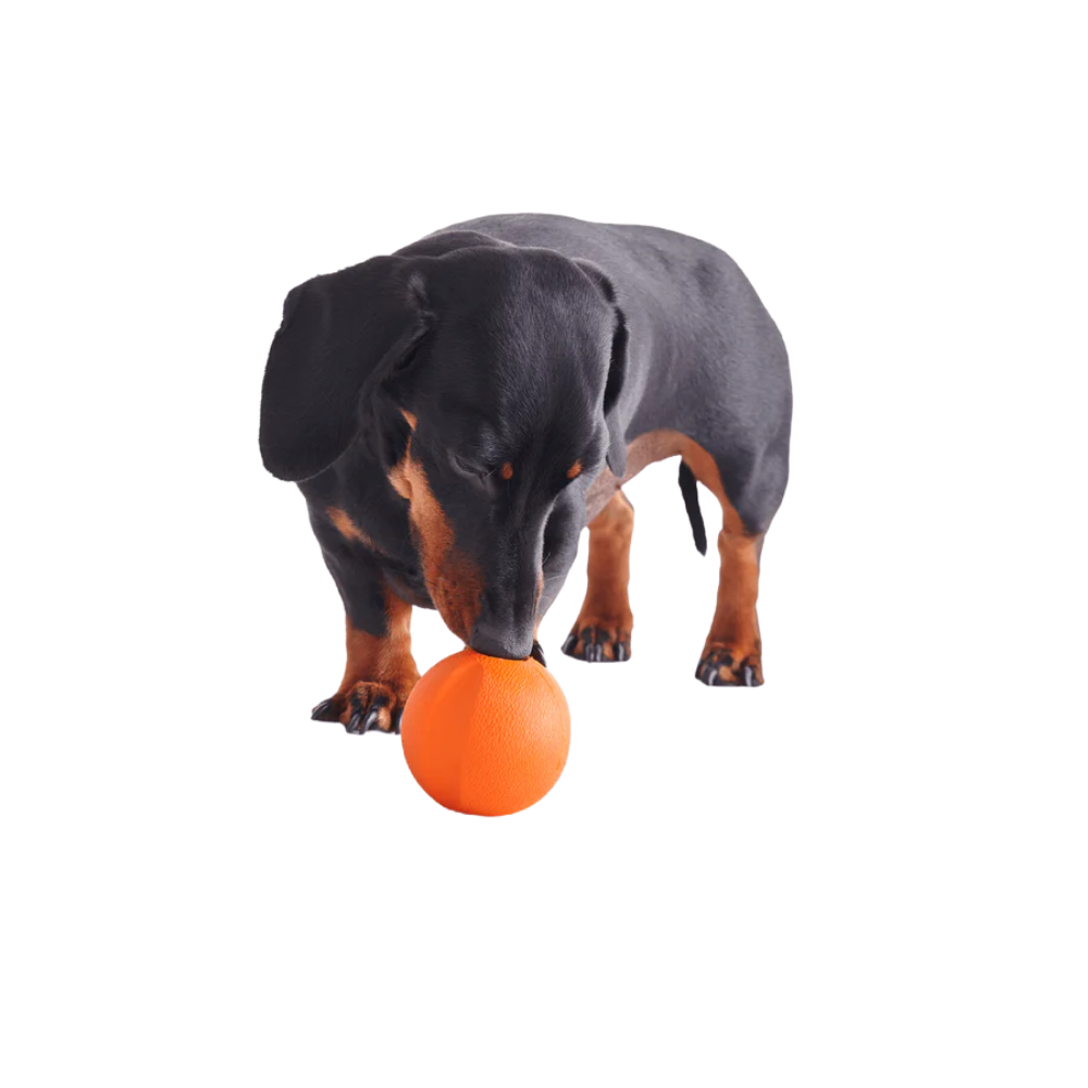 Beco Fetch Ball/ Orange