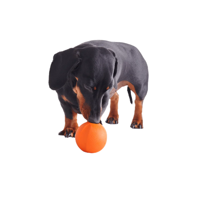 Beco Fetch Ball/ Orange