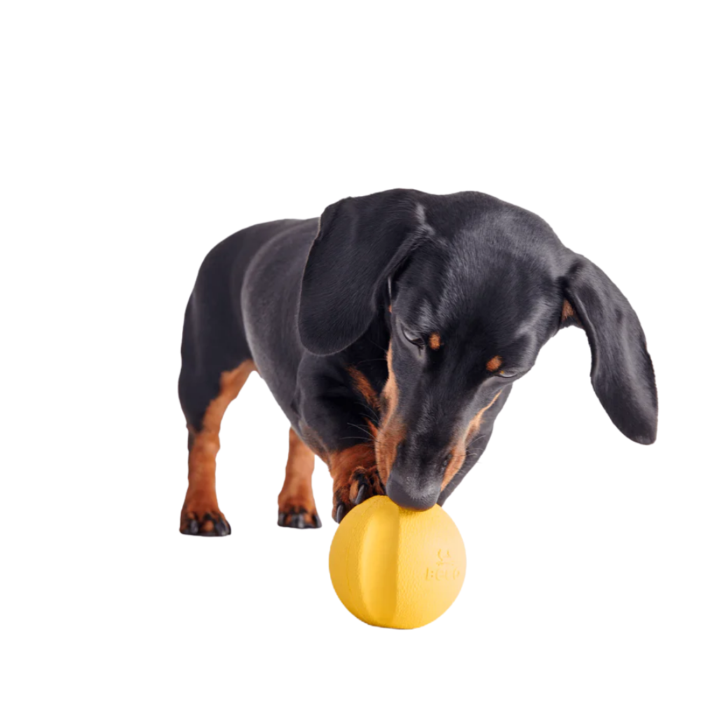 Beco Fetch Ball/ Yellow
