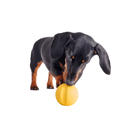 Beco Fetch Ball/ Yellow