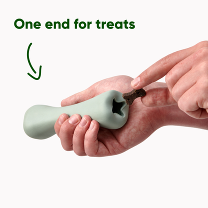 Beco Treat Bone/ Green