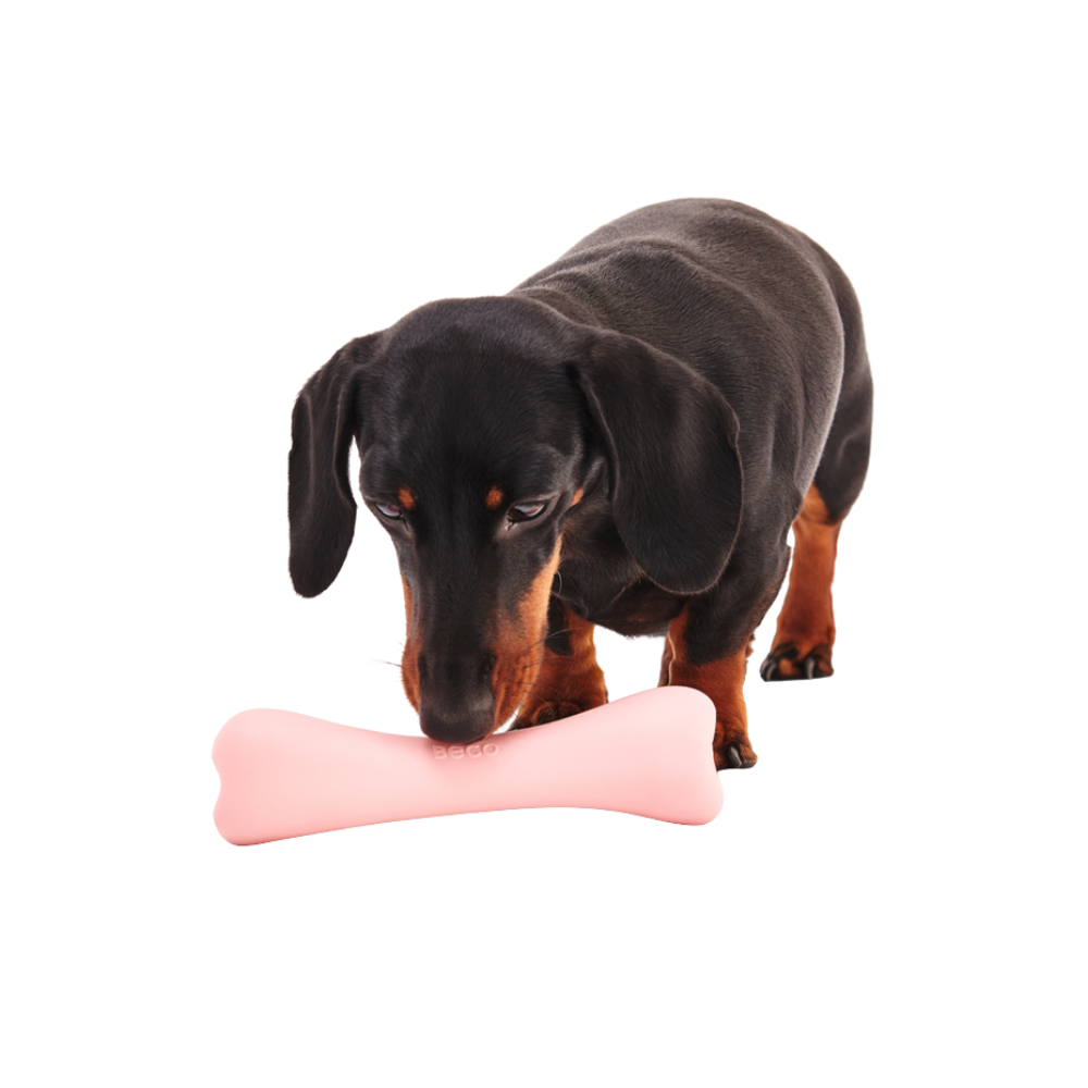 Beco Treat Bone/ Pink