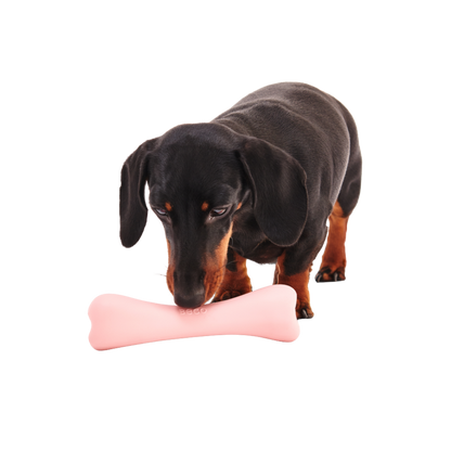 Beco Treat Bone/ Pink