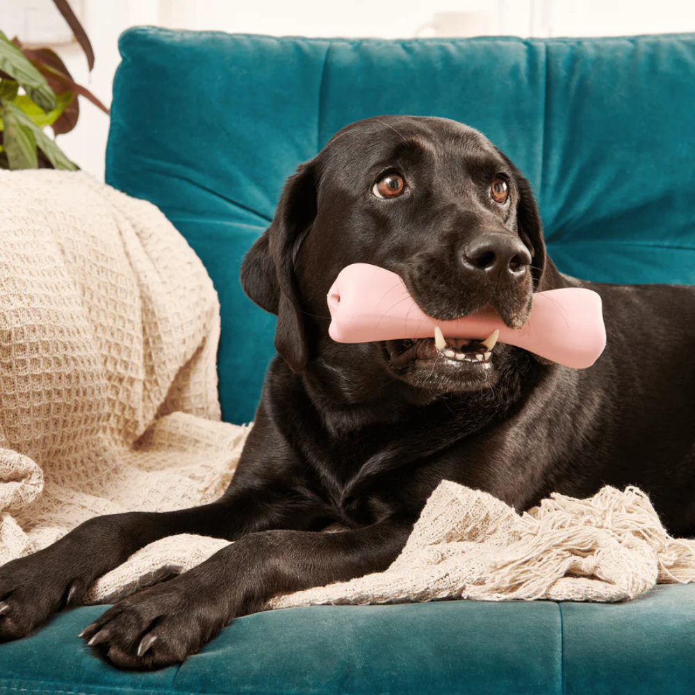 Beco Treat Bone/ Pink