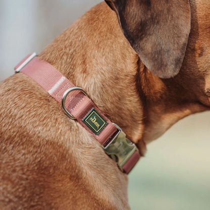 Hunter Inari Alu-strong Collar/ Pastel Red/ Extra Large