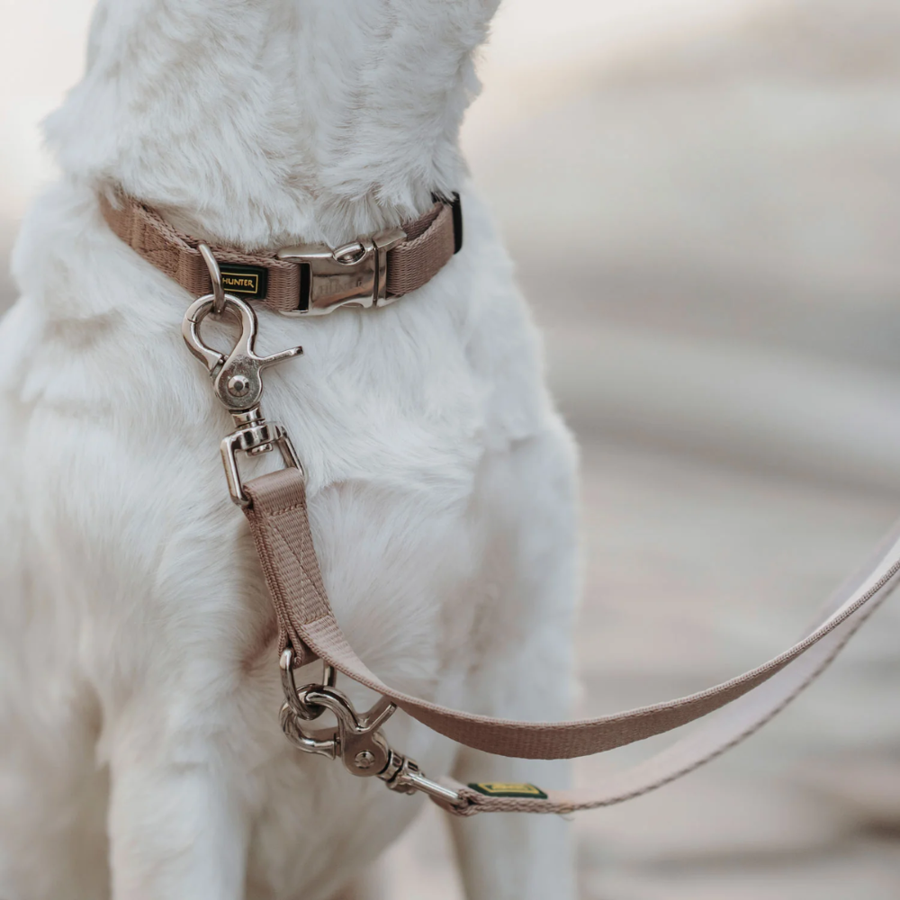 Hunter Inari Alu-strong Collar/ Tan