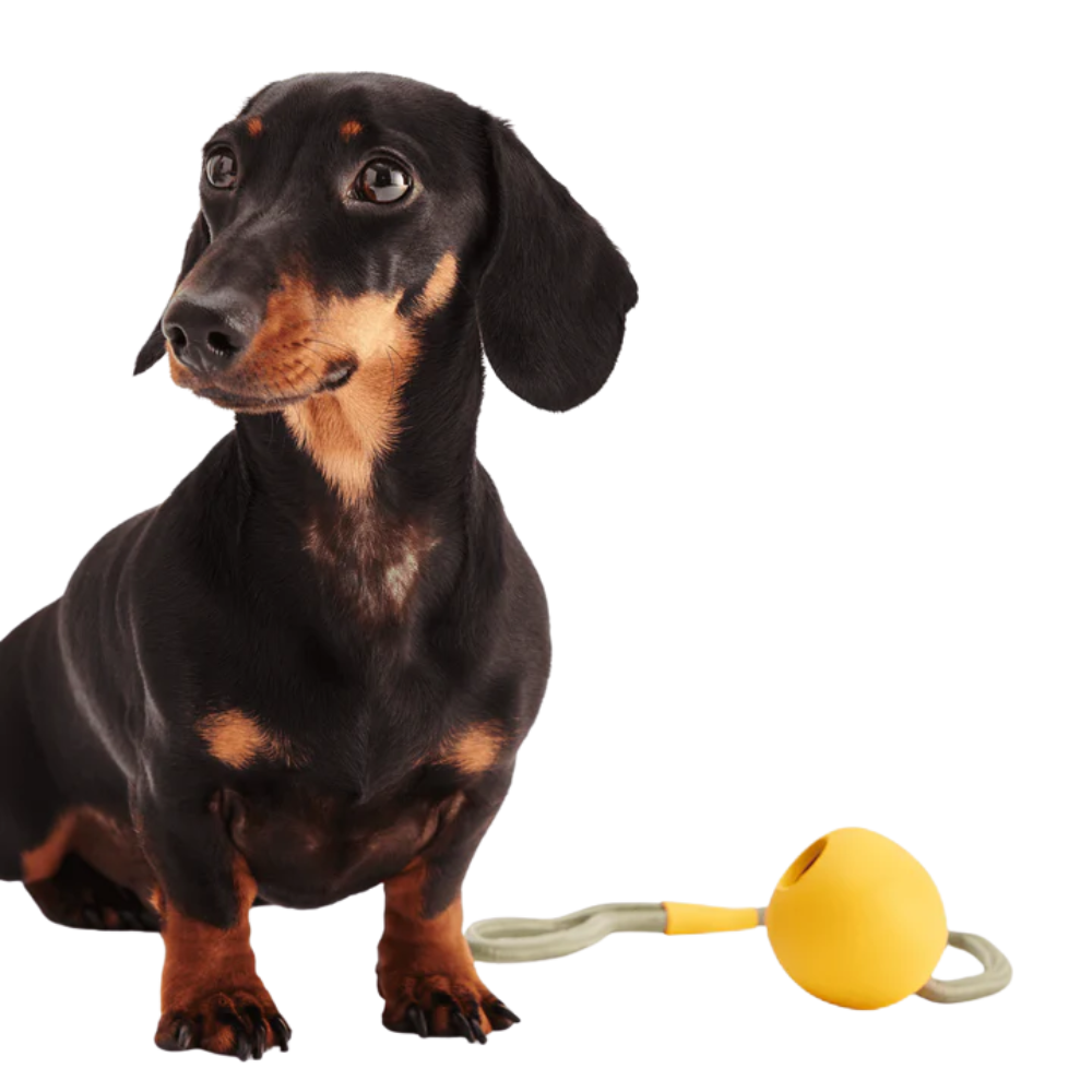 Beco Slinger Ball/ Yellow