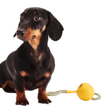 Beco Slinger Ball/ Yellow