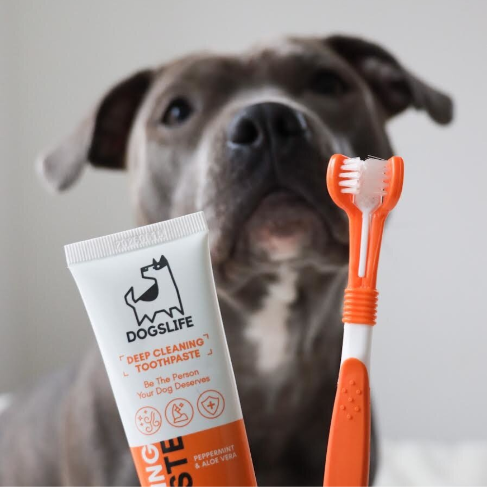 OurDogsLife Dental Kit