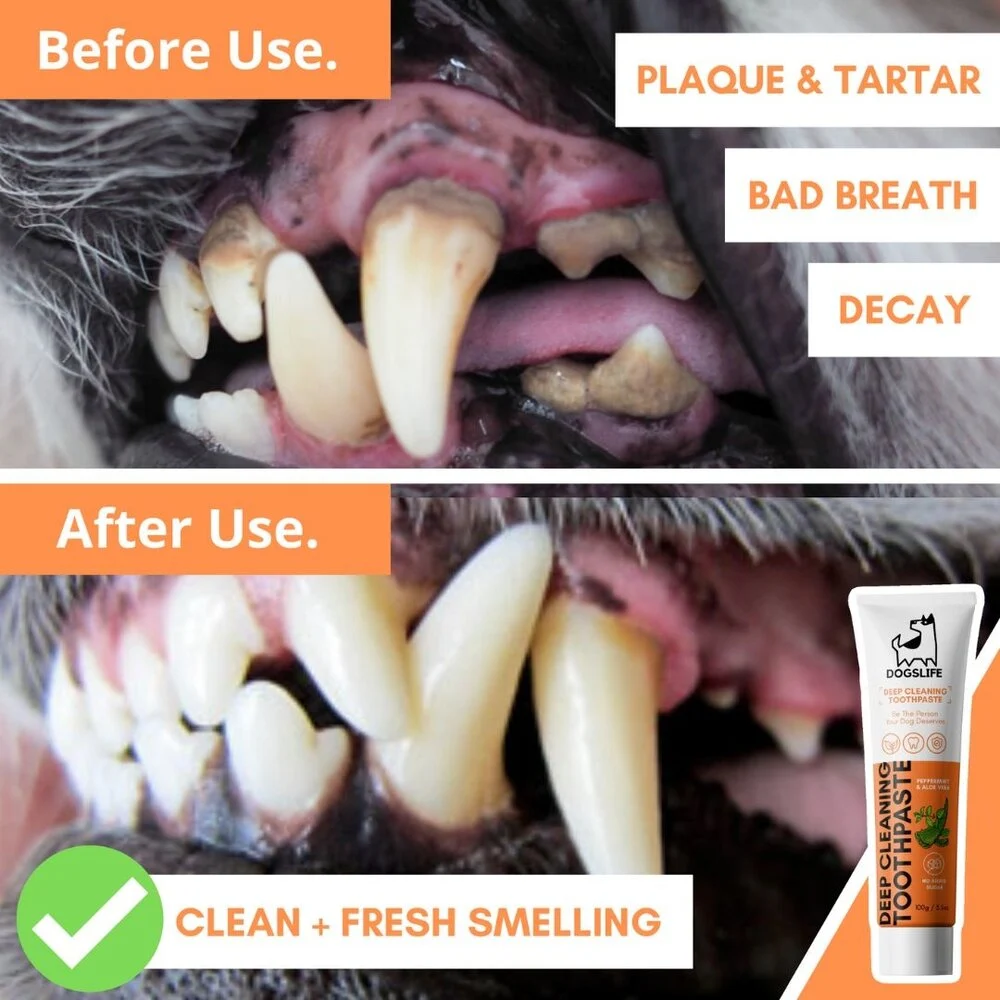 OurDogsLife Dental Kit