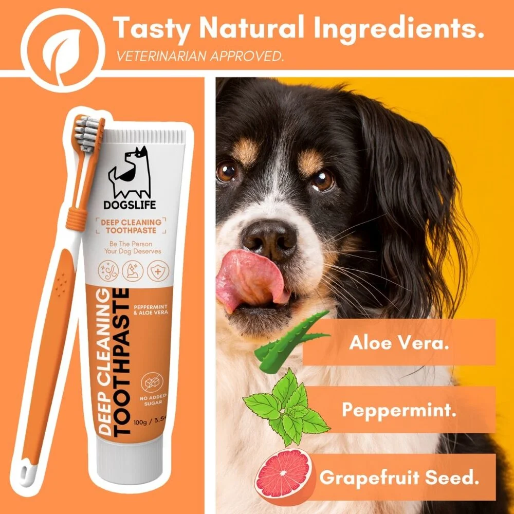 OurDogsLife Dental Kit