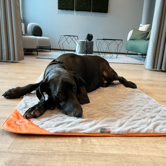 ThermoSwitch Blanket Samos/ Orange and Grey